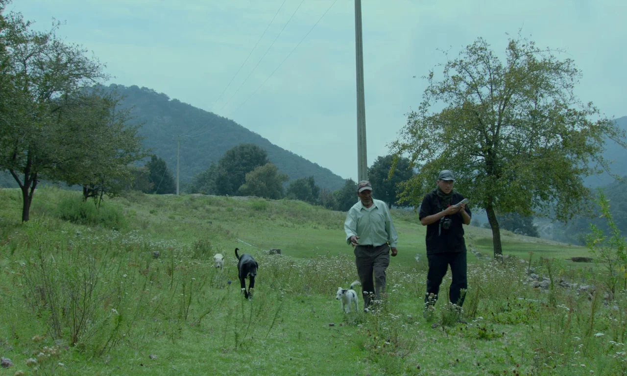 The Untamed (2016) movie still: wide — A grassy meadow surrounded by hills features a tall utility pole and scattered wildflowers. Two men walk…