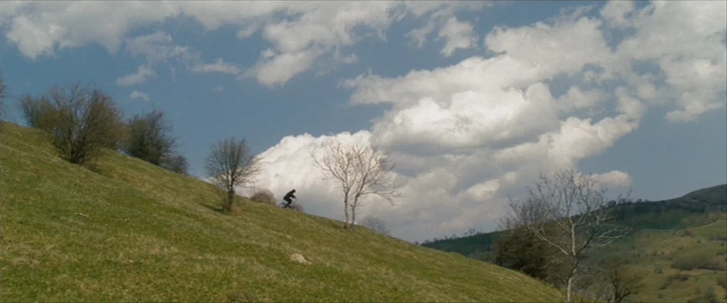 The Brothers Bloom (2008) movie still: wide — A rolling green hillside dotted with bare trees extends beneath a partly cloudy sky. A person on a…