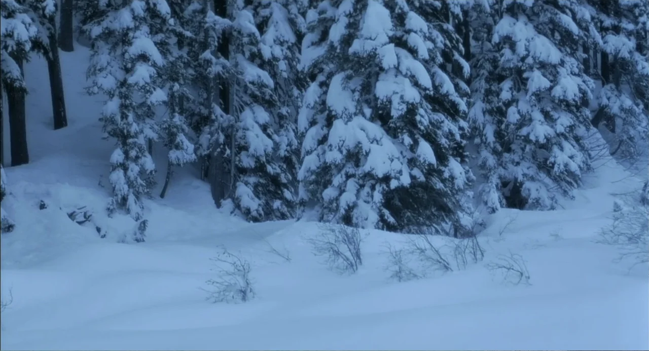 The Hunted (2003) movie still: wide — A dense forest of evergreen trees is completely covered in a thick layer of snow. Deep, untouched snowdrifts…