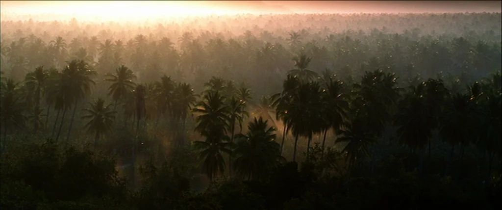 Kill Bill Vol. 2 (2004) movie still: establishing — A vast dense palm tree jungle spans the frame under a hazy dawn sky. The rising sun creates a…
