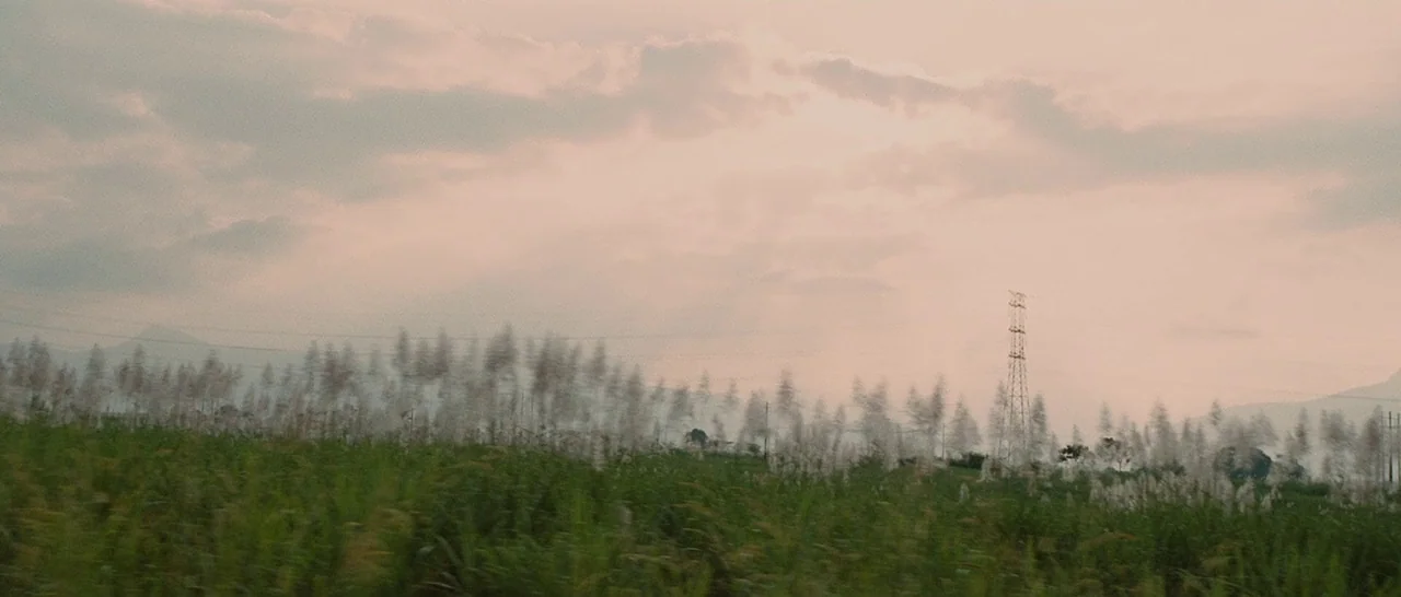 Sin Nombre (2009) movie still: establishing — An open rural landscape features tall swaying grass under a hazy, clouded sunset sky. A single metal…