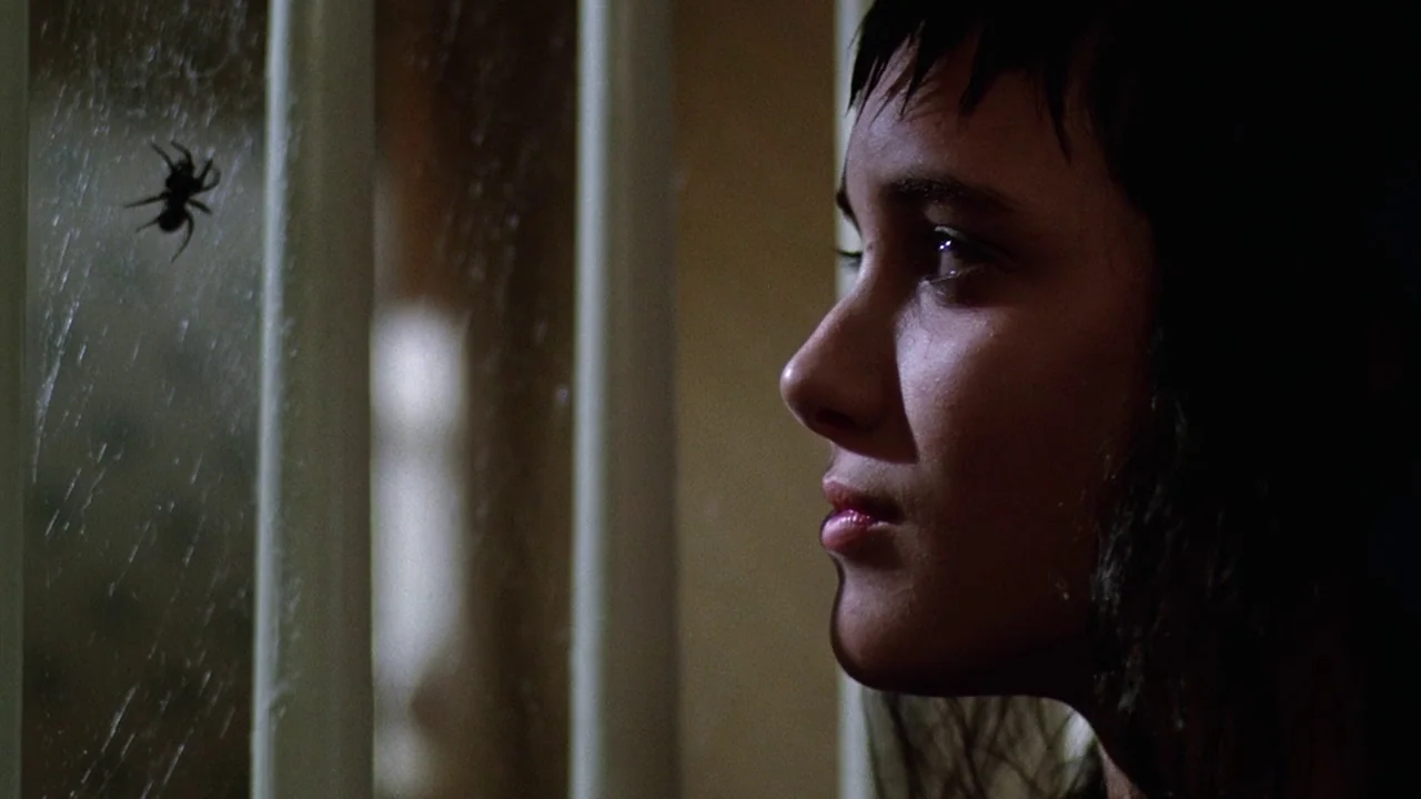 Beetlejuice (1988) movie still: closeup — A dark, interior setting features a window frame with a spider web. A young woman in profile stares toward…