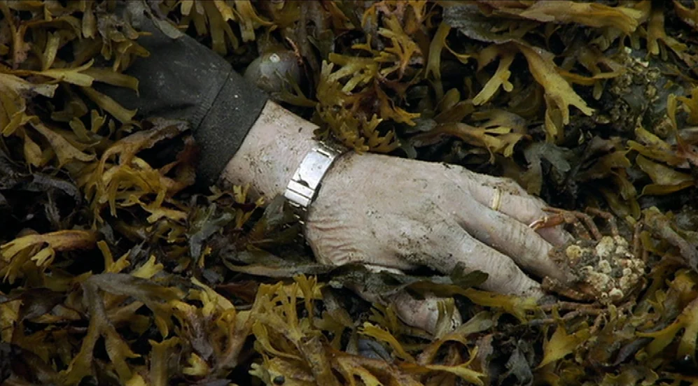 Limbo (1999) movie still: closeup — A pile of damp, brownish-yellow seaweed blankets an intertidal shoreline area. A human hand wearing a metal…