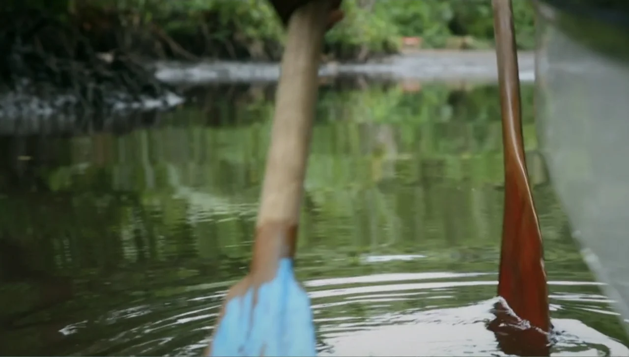 Islands of Creation (2015) movie still: closeup — A quiet waterway winds through a dense mangrove forest with dark, reflective water. Two wooden…