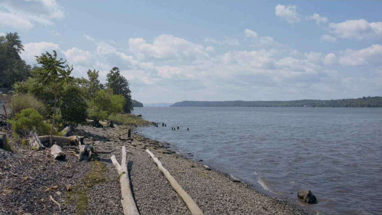 The African Desperate (2022) movie still: establishing — A rocky riverbank features driftwood scattered along a dark pebbled shore near vegetation.…