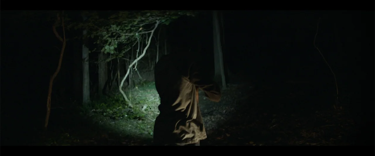 It Comes at Night (2017) movie still: medium — A dark, dense outdoor area with trees at night lit by a narrow beam. A man stands with his back to…