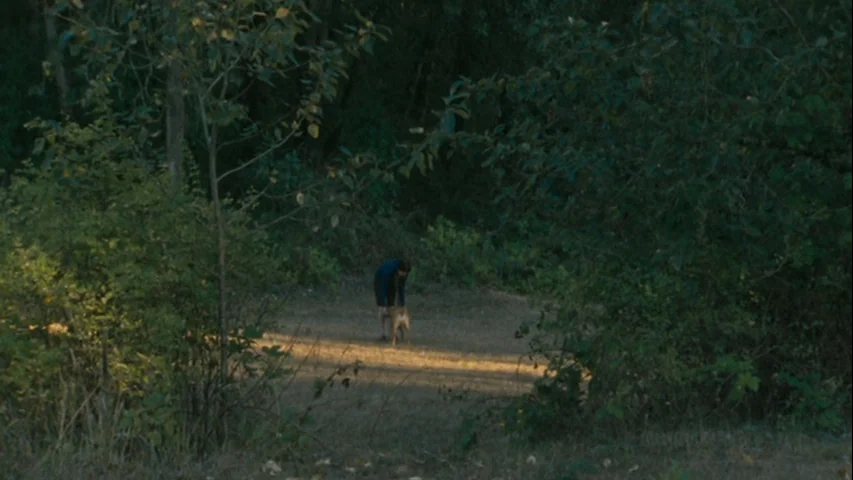 Wendy and Lucy (2008) movie still: wide — A sunlit clearing exists amidst a thick, dark expanse of green trees. A person stands on the dirt ground…