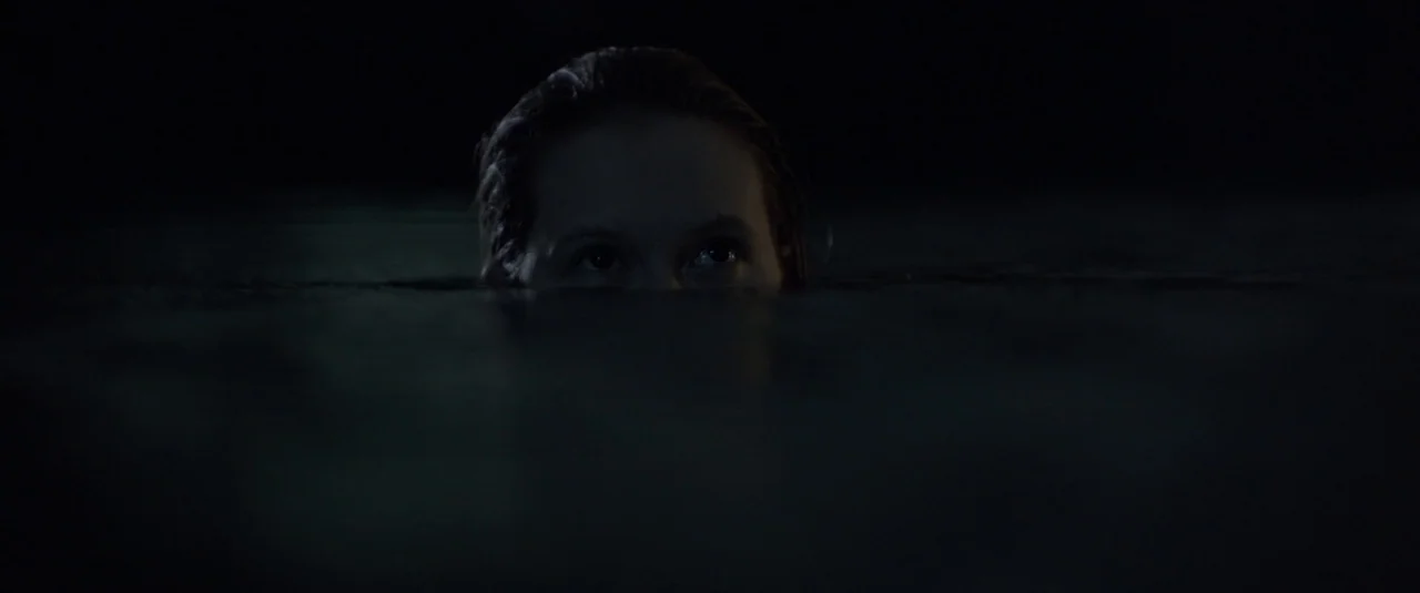 The Lure (2015) movie still: closeup — A dark expanse of water at night covers the lower portion of the frame. A woman's face and slicked-back hair…