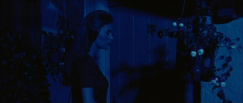 Messiah of Evil (1973) movie still: medium — A woman stands on a porch at night in heavy blue monochromatic lighting. Potted hanging plants frame…
