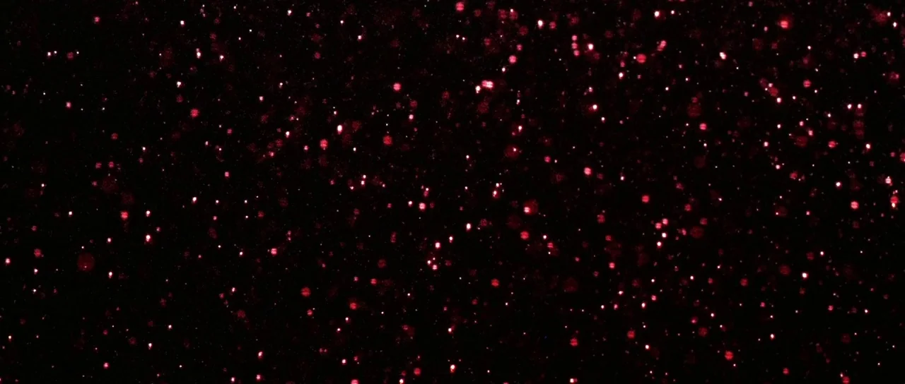 Vinyan (2008) movie still: establishing — A field of scattered, out-of-focus red light points is suspended in total darkness. These distinct glowing…