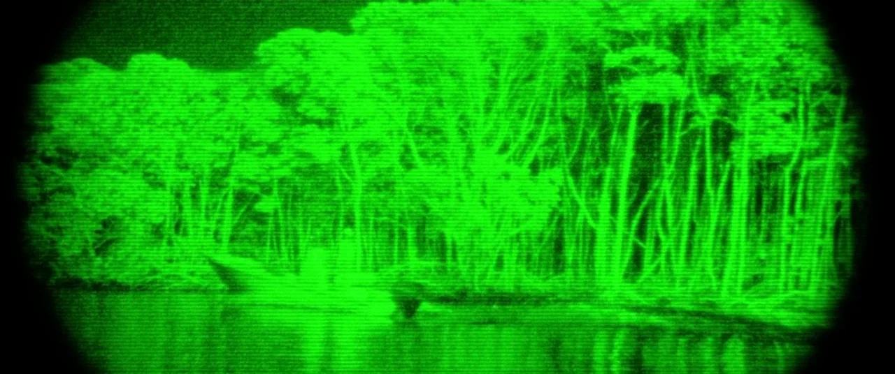 Bad Boys II (2003) movie still: wide — A dark riverbank is lined with dense trees and foliage under low-light conditions. The entire view is…