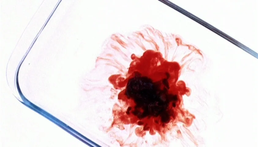 Maelström (2000) movie still: closeup — A glass tray rests against a stark, high-key white background. A dark red substance diffuses into wispy…