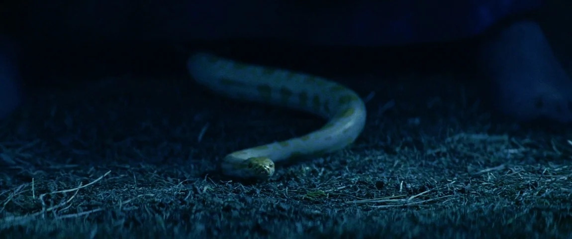 The Passion of the Christ (2004) movie still: medium — A dark, grassy area at night is illuminated by dim, blue-toned light. An albino snake with…