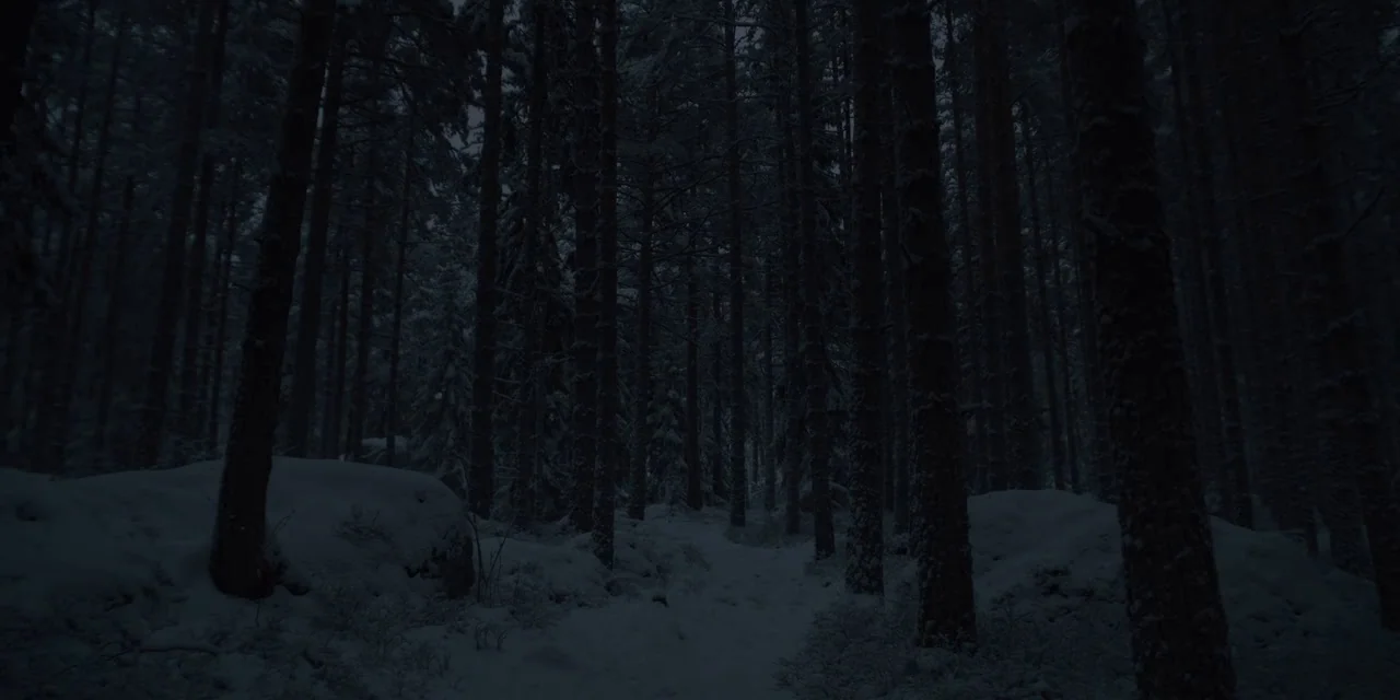 Midsommar (2019) movie still: establishing — A dense forest at night is covered in a layer of fallen snow. Tall pine trees stand in vertical rows…