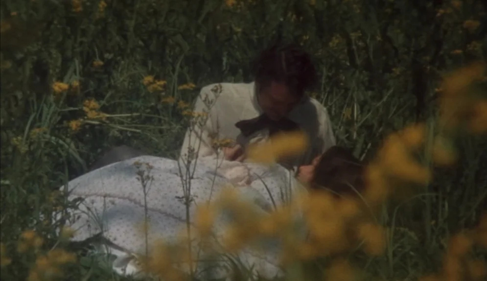 The Beguiled (1971) movie still: medium — A man and woman lie on their backs amongst tall, dense wild yellow flowers. The couple rests together in…