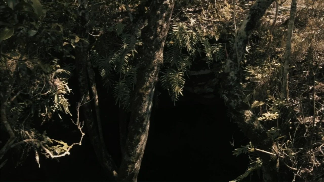 The Grotto (2022) movie still: wide — A dark cave entrance is framed by thick tree trunks and lush hanging ferns. The deep shadow of the opening…