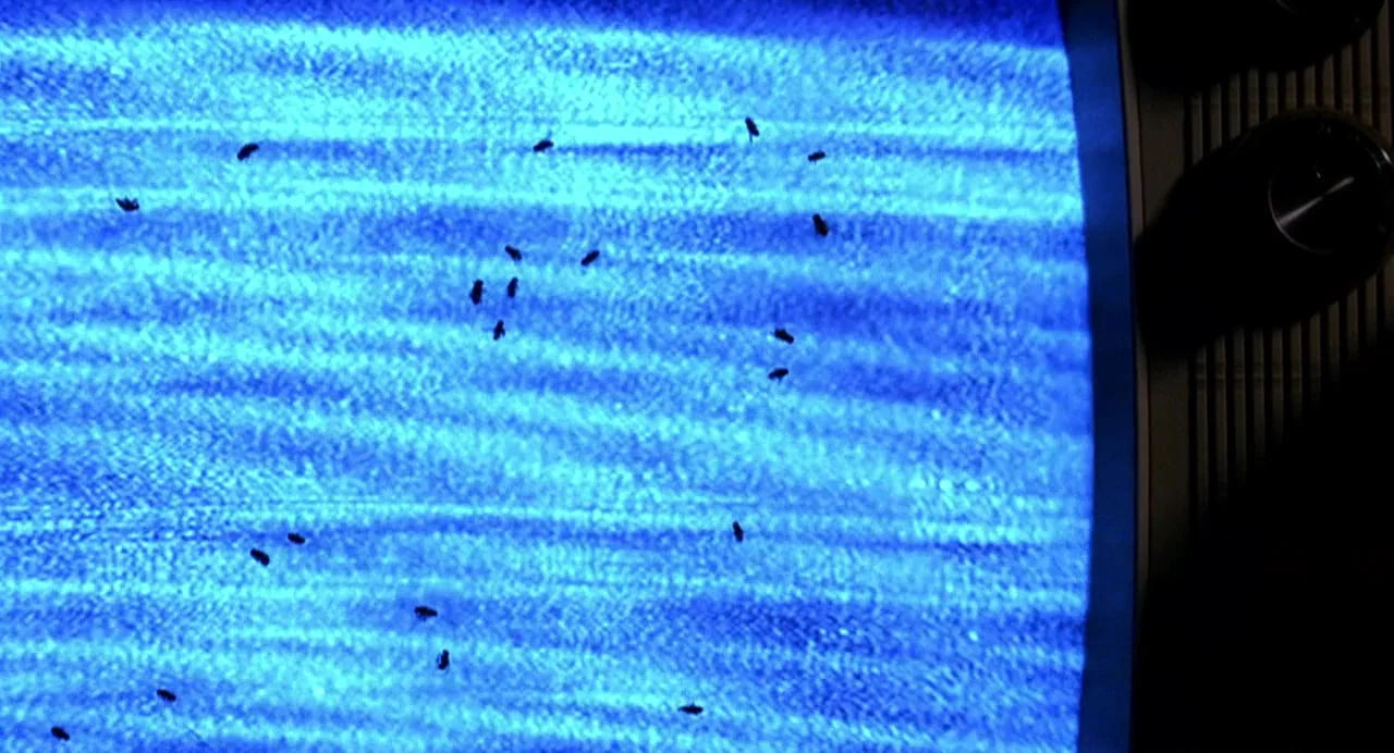 Office Killer (1997) movie still: closeup — A close-up view of a vintage television screen displaying bright blue analog signal static. Numerous…
