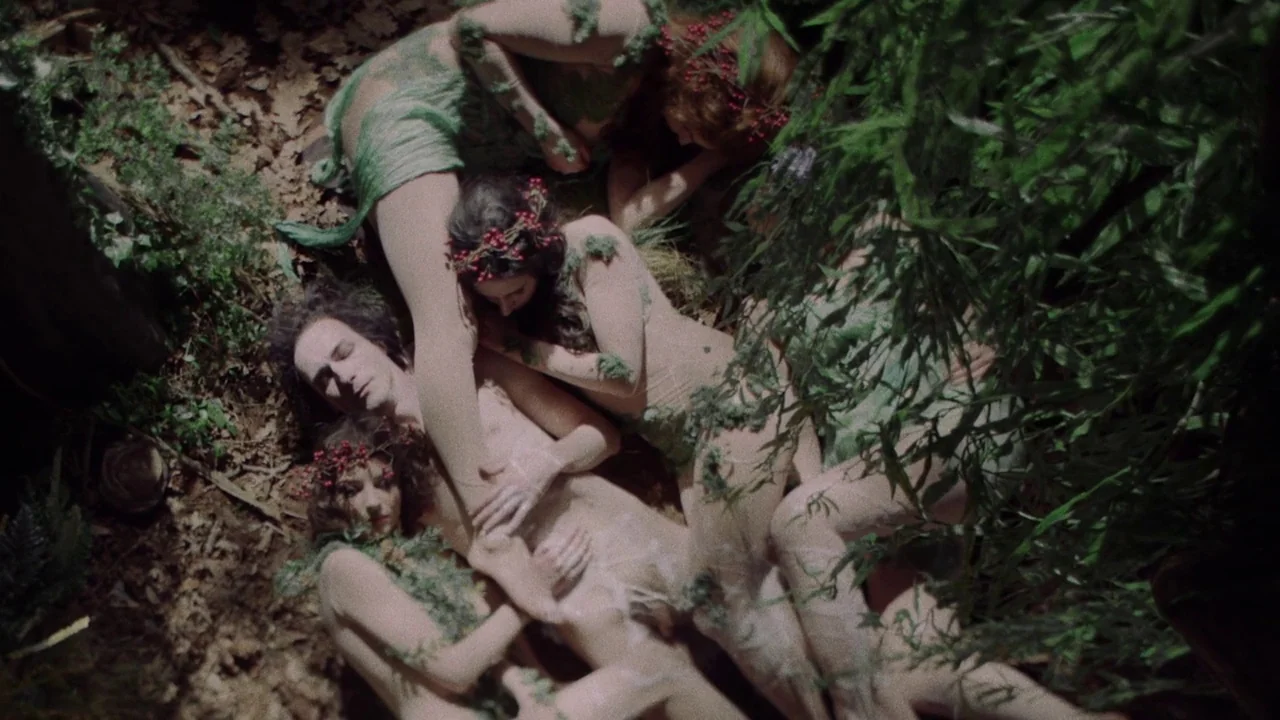 The Field Guide to Evil (2018) movie still: fullbody — A group of people lies clustered together on the leaf-strewn ground of a dense forest. They…