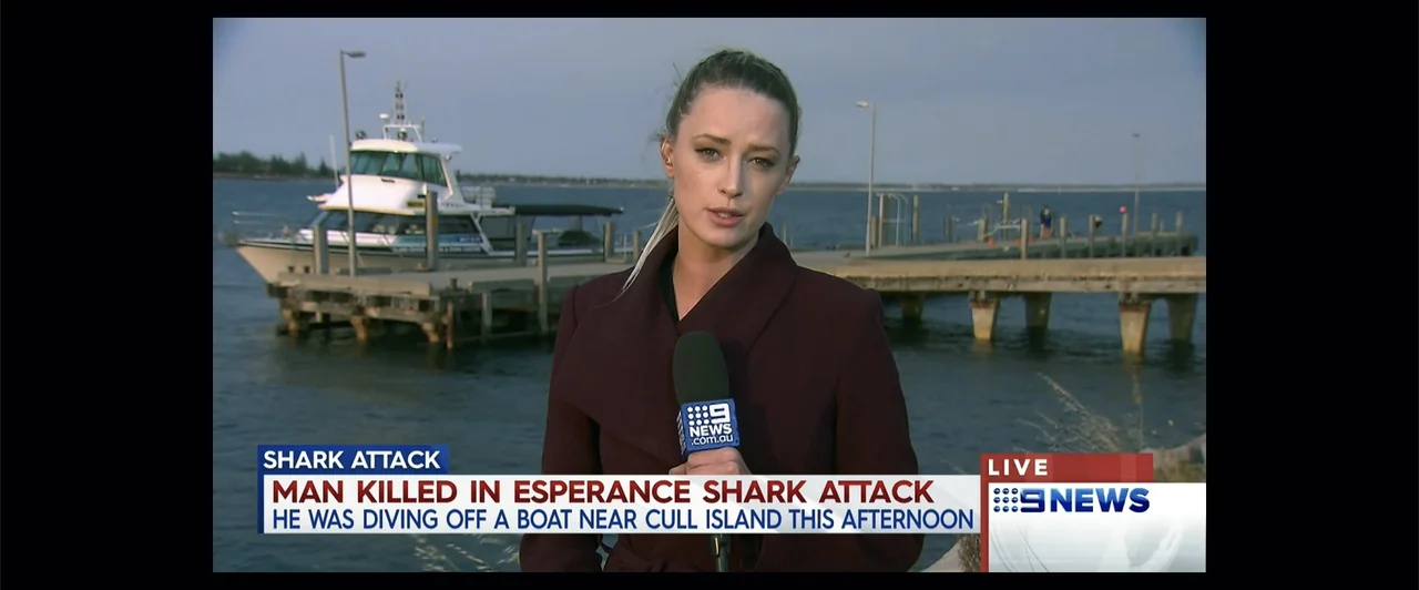 Lair of the Great White (2024) movie still: medium — A news reporter stands in front of a water harbor with a docked boat visible. The reporter…