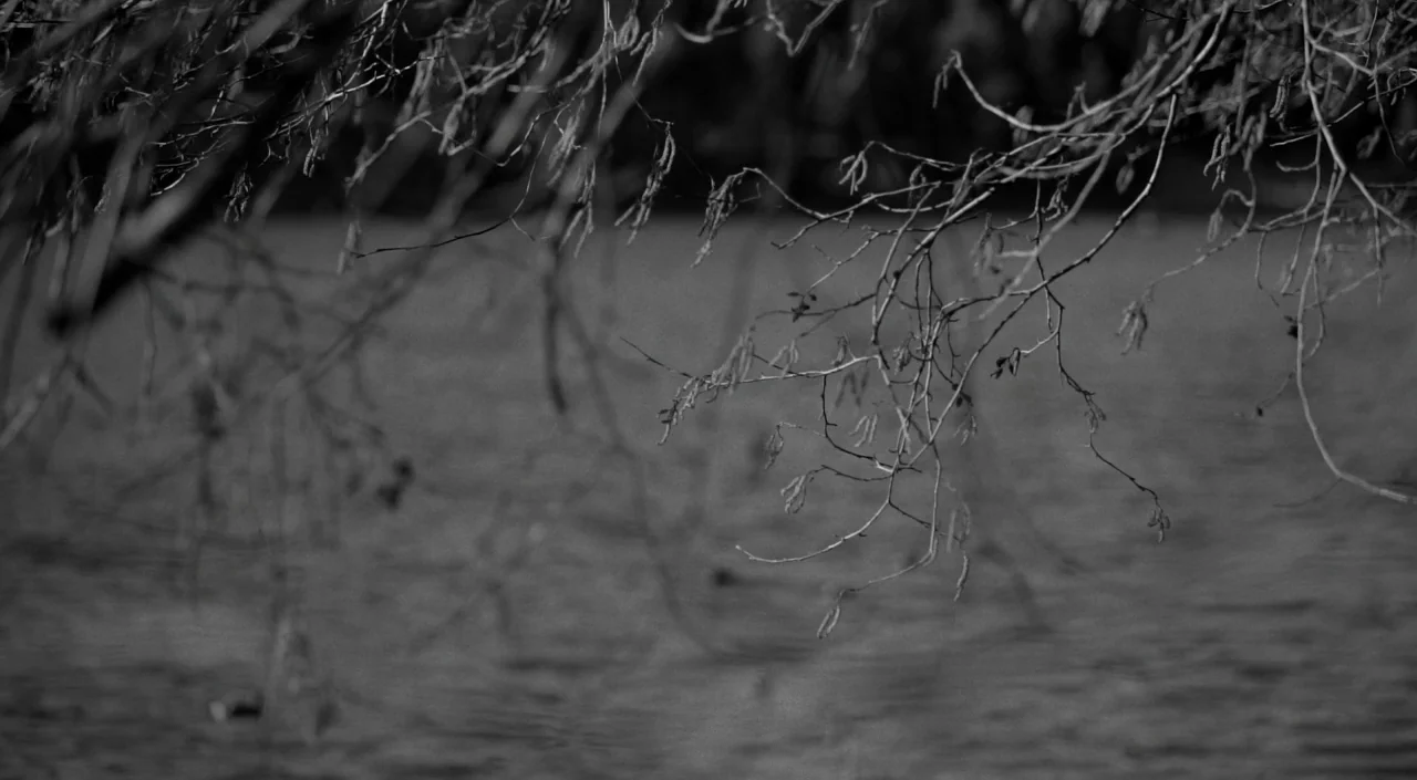 Blue Jay (2016) movie still: establishing — Thin, leafless willow branches dangle over a dark, textured body of water. The blurred water surface…