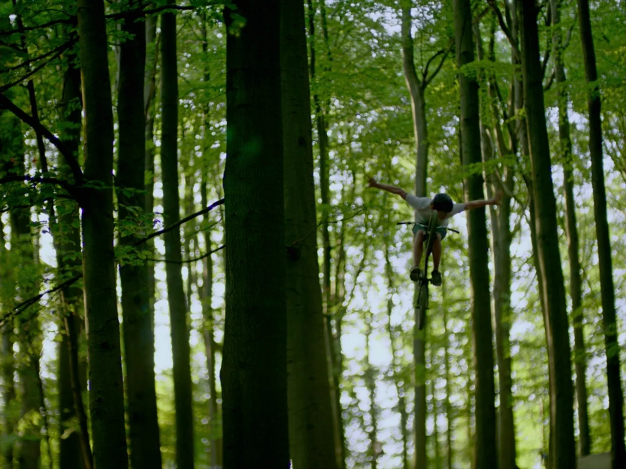 Violet (2014) movie still: wide — A dense patch of vertical tree trunks fills the frame in bright daylight. A cyclist mid-air on a mountain bike has…