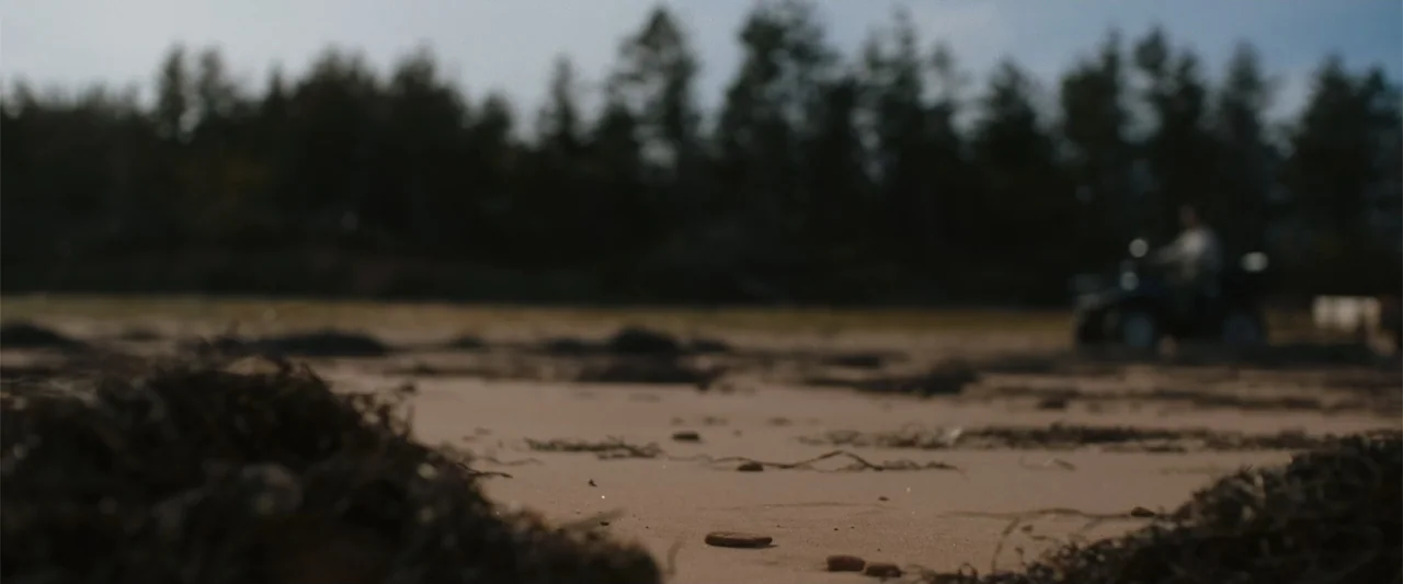 A Small Fortune (2021) movie still: wide — A low-angle view across a sandy beach littered with scattered seaweed and pebbles. The background is a…