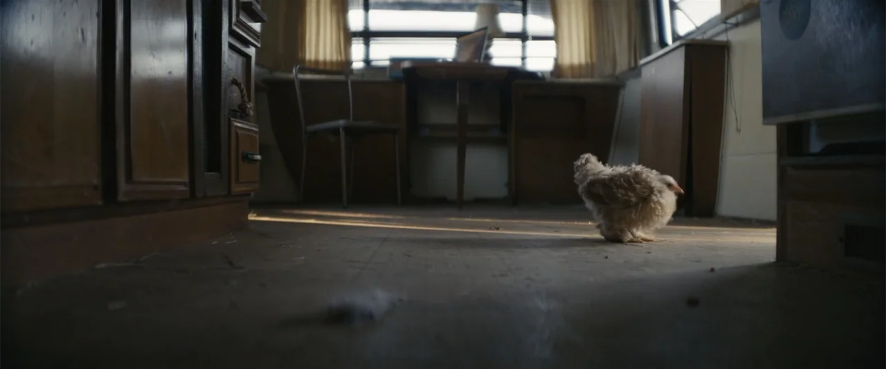 Last Looks (2022) movie still: medium — The interior of a cluttered, wood-paneled travel trailer is illuminated by bright window light. A single…