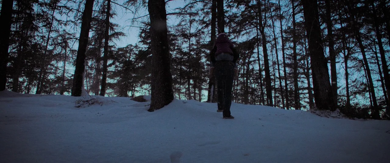 Destroyer (2018) movie still: wide — A dense forest floor is blanketed in deep snow under a twilight sky. A parent carries a small child on their…