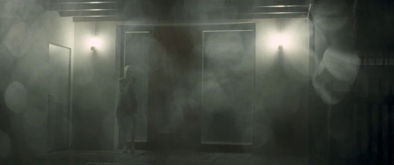 Goodnight Mommy (2014) movie still: wide — A dark outdoor patio at night features a modern sliding glass door entrance. A lone woman stands by the…