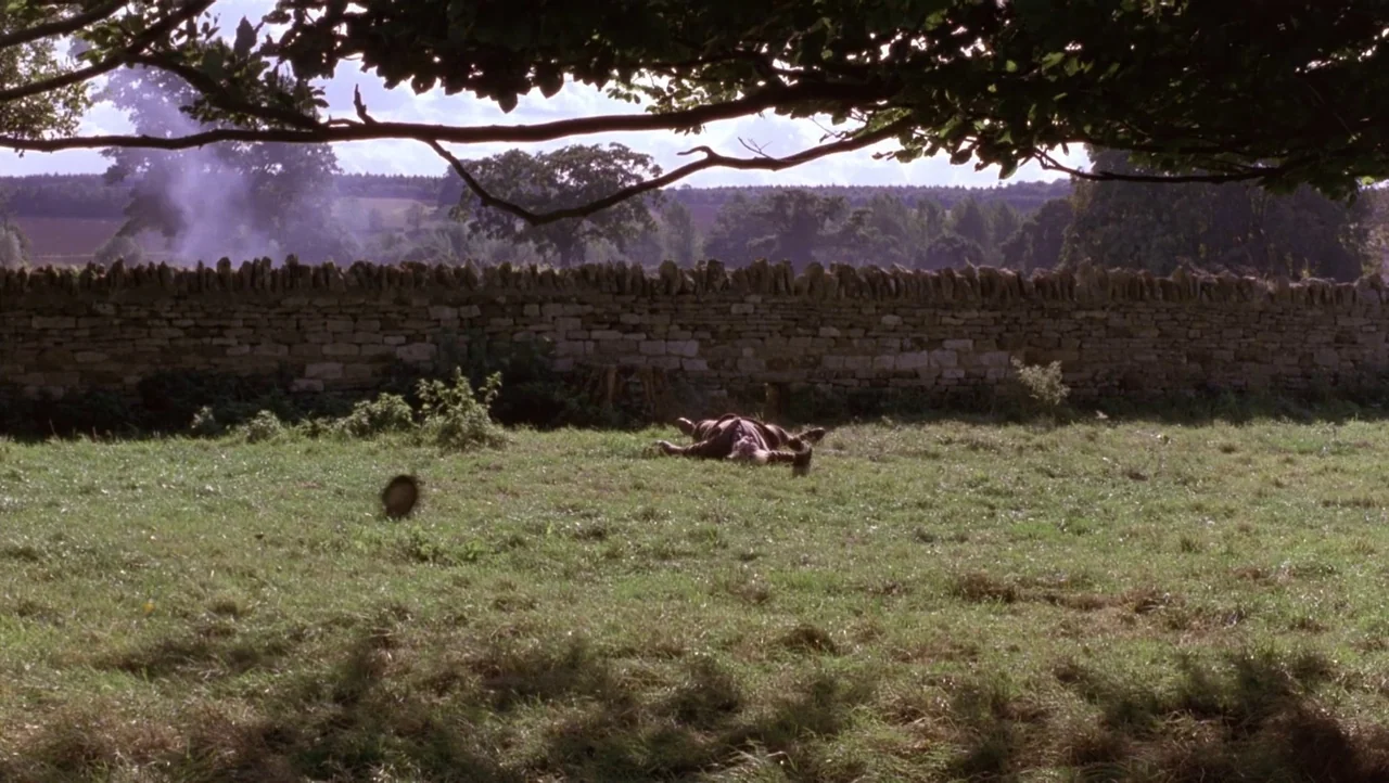 Mountains of the Moon (1990) movie still: wide — A rural pasture contains a dry stone wall under a tree branch overhang. A single person lies…