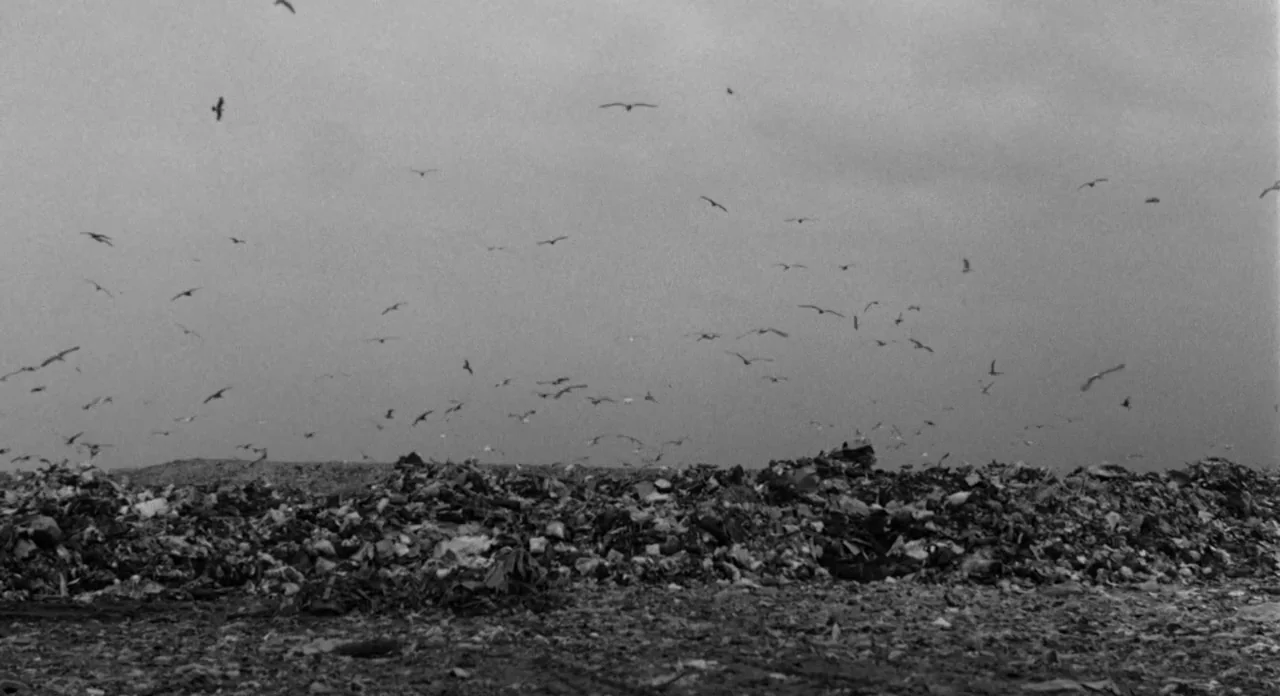 Stardust Memories (1980) movie still: establishing — A vast expanse of accumulated trash and debris stretches across the horizon line. Countless…