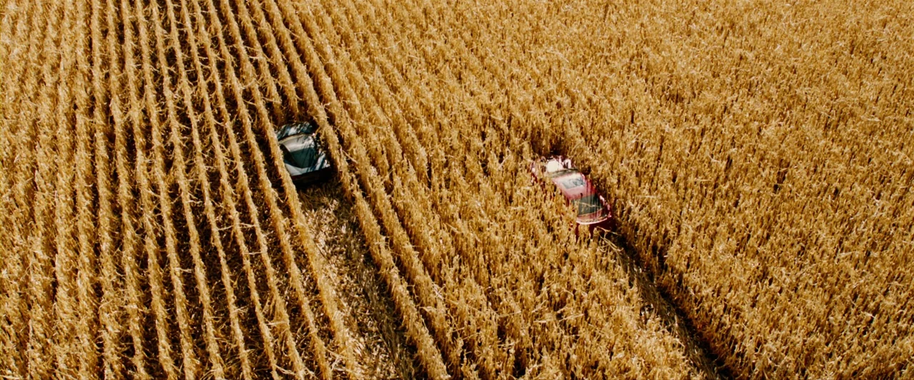 The Last Stand (2013) movie still: wide — A vast expanse of dry, harvest-ready corn fills the frame with regular vertical patterns. Two cars are…