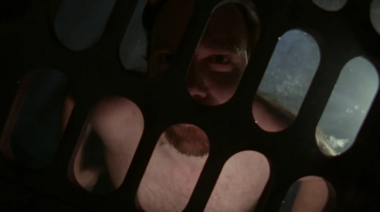 Lady in the Water (2006) movie still: closeup — A metal grating with oval cutouts frames a man in a dark environment. The man looks directly forward…