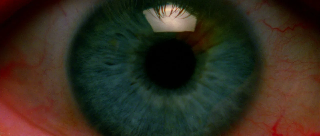 The Strange Colour of Your Body’s Tears (2013) movie still: closeup — An extreme close-up of a human eye with prominent red blood vessels. The iris…