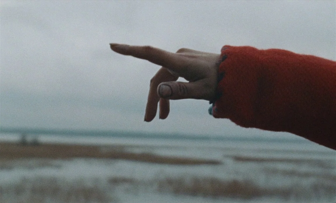 High Life (2018) movie still: closeup — An overcast shoreline under a pale grey sky overlooks a blurred, shallow body of water. A single hand in a…