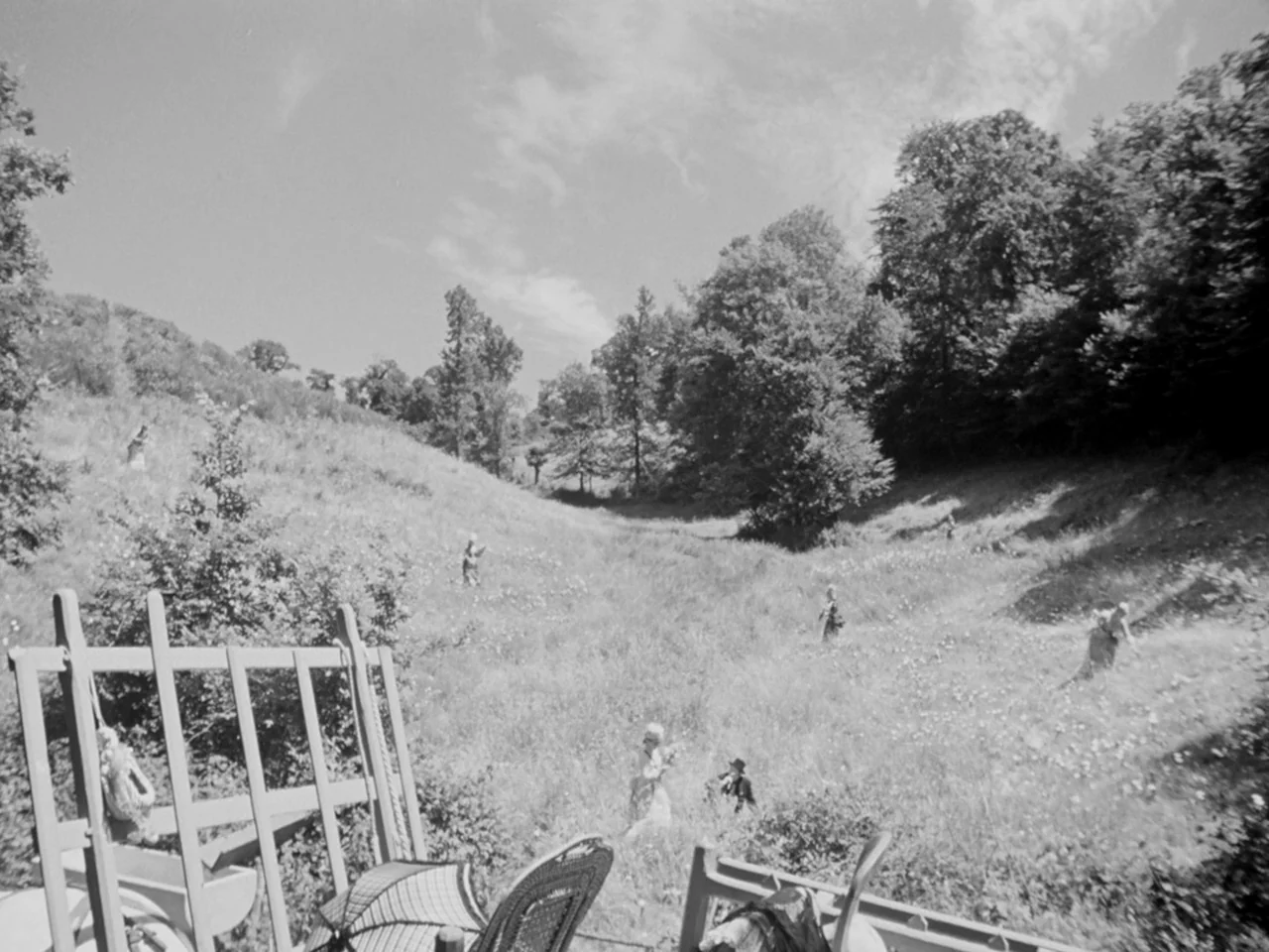 Le Plaisir (1952) movie still: wide — An open grassy slope is dotted with scattered wildflowers and groups of people walking. Large leafy trees line…
