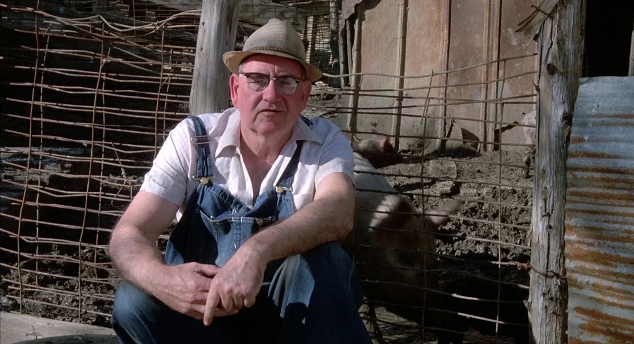 Mississippi Burning (1988) movie still: medium — An elderly man in overalls squats in front of a wire-fenced animal enclosure. A pig is partially…