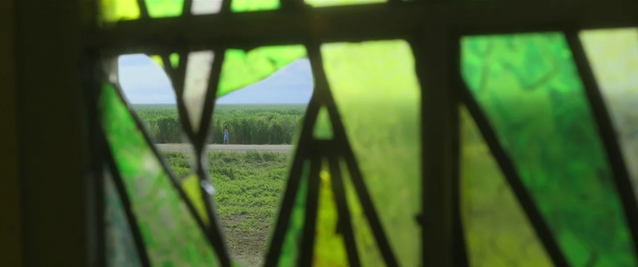In The Tall Grass (2019) movie still: wide — A woman walks on a gravel road lined by tall green agricultural crops. The view is partially obscured…