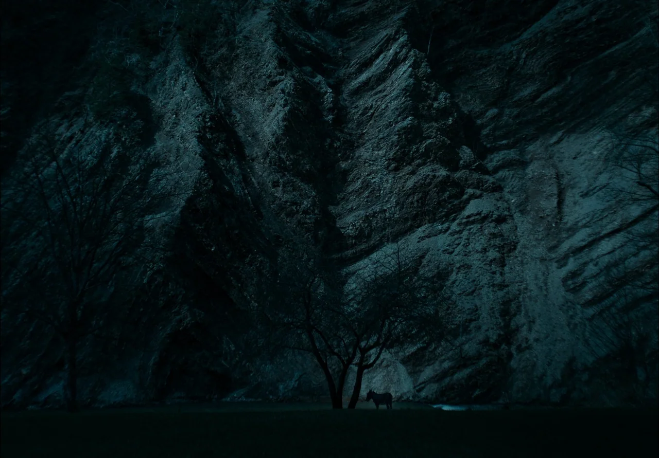 EO (2022) movie still: wide — A dark rocky canyon wall rises vertically behind a sparse field and trees. A horse stands in the shadows near the base…