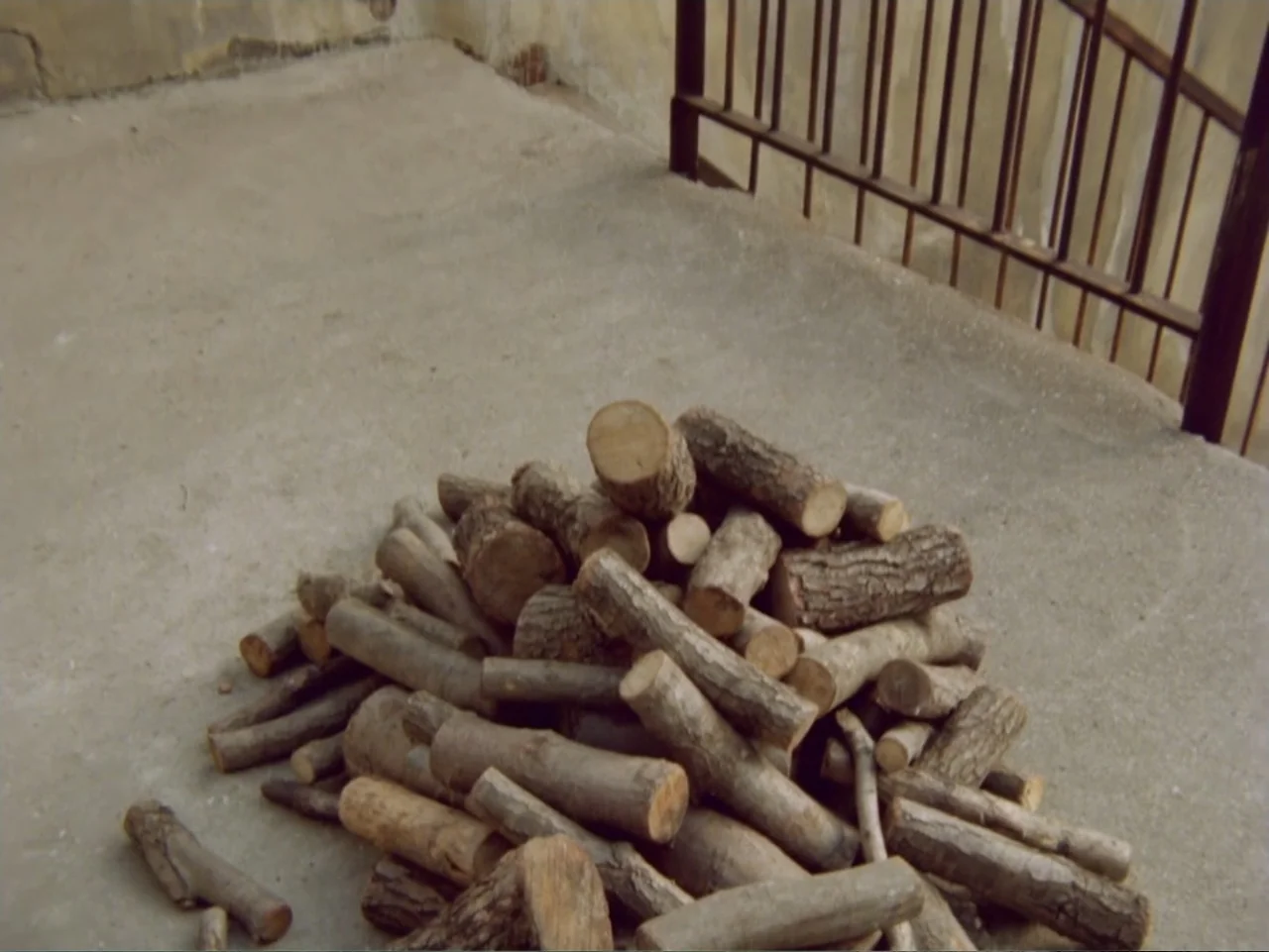 Don't Let Them Shoot the Kite (1989) movie still: medium — A pile of raw, cut tree logs rests on a rough concrete floor outdoors. A metal railing is…