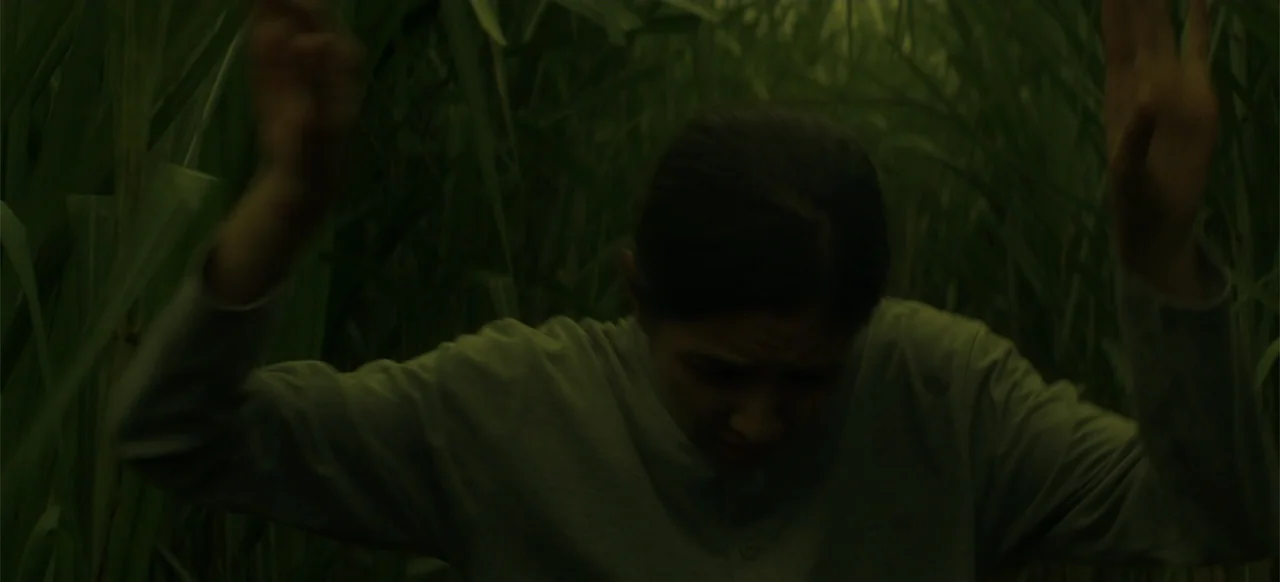 A Thousand Days (2023) movie still: medium — A dense patch of tall green stalks fills the environment at twilight. A woman in a green long-sleeved…