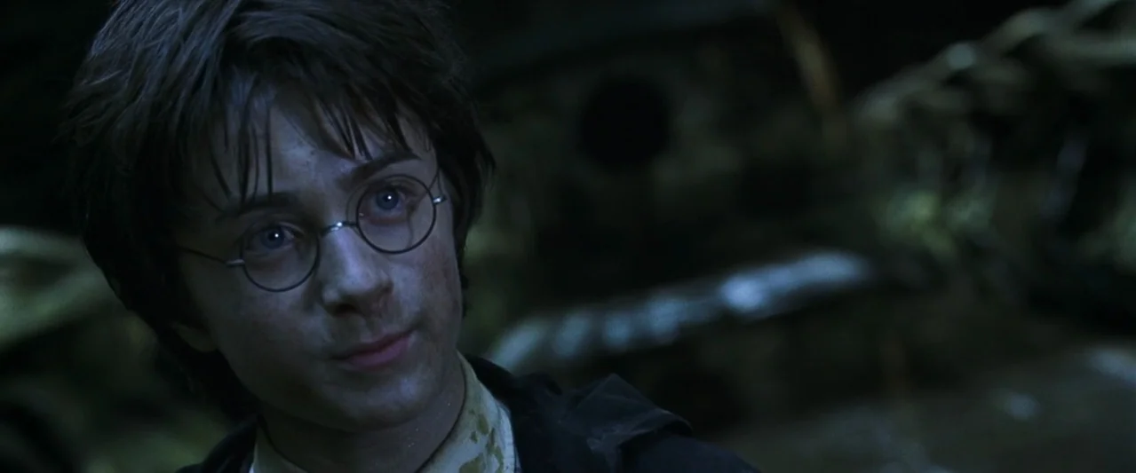 Harry Potter and the Chamber of Secrets (2002) movie still: closeup — A dark outdoor space with indistinct background elements suggesting a…