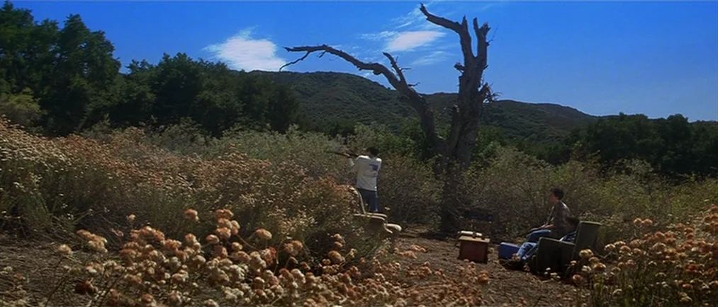 Donnie Darko movie still: wide — A rural scrubland area features a lone dead tree and low brush under sunshine. Three individuals interact with a…