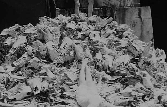 Fando y Lis (1968) movie still: wide — A dense heap of animal skulls sits against a weathered concrete structure. The lower limbs of a person…
