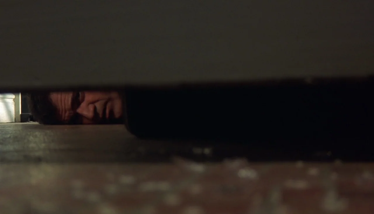 Signs (2002) movie still: closeup — A man lies prone on a dark floor in a dimly lit interior space. Only a small portion of his face is visible…