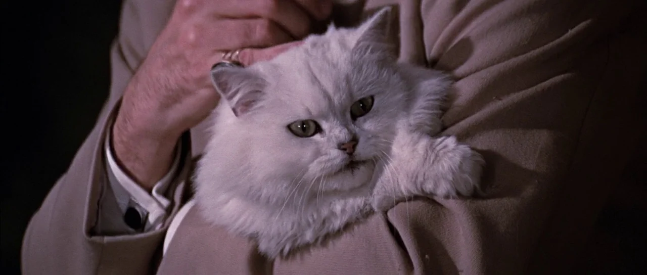 You Only Live Twice (1967) movie still: closeup — A close-up view showing a person wearing a tan jacket holding a white cat. The cat is cradled in…