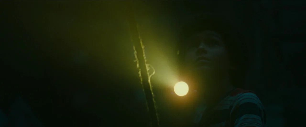 Wonderstruck (2017) movie still: medium — A dark, underexposed environment where minimal light penetrates the gloom. A child holds a flashlight,…