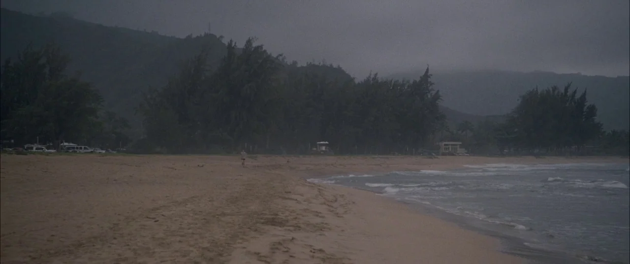 The Descendants (2011) movie still: wide — A wide sandy beach meets the water under a thick blanket of grey clouds. Dense green trees line the base…