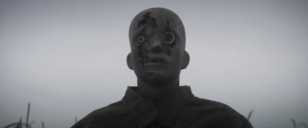 Treblinka's Last Witness (2012) movie still: closeup — A field under a heavy, overcast, gray sky provides a featureless background. A humanoid…