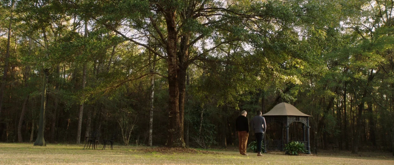 Get Out (2017) movie still: wide — A grassy clearing is surrounded by a dense forest with a large oak tree. Two men stand together facing a small…